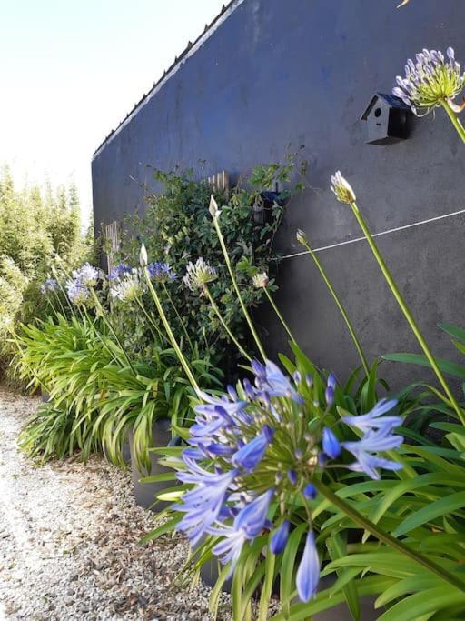 Logement 80 M2 Avec Terrasses Entre Les Deux Abers Landéda Exterior foto